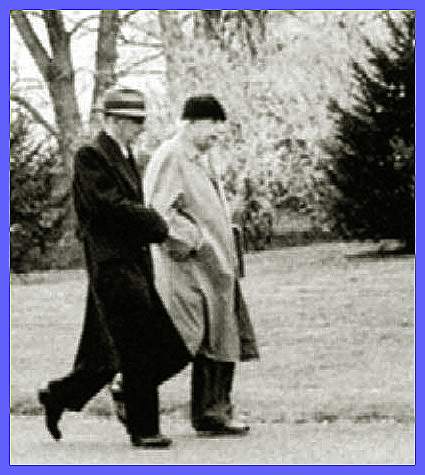 Godel and Einstein in Princeton